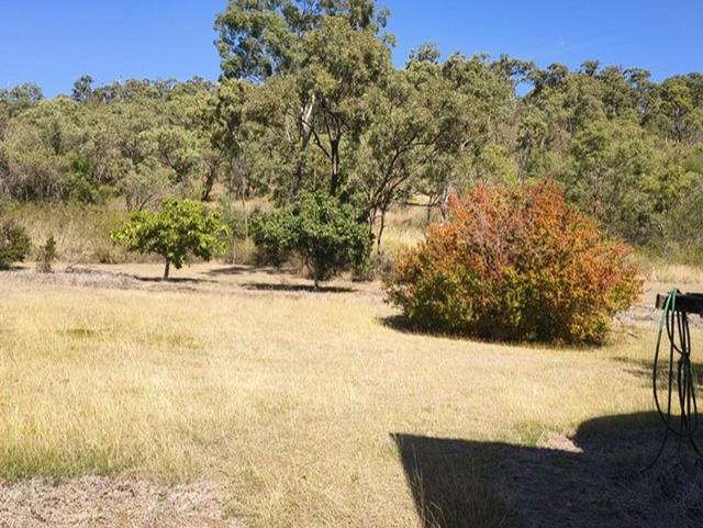 208 Poinciana Street, QLD 4701