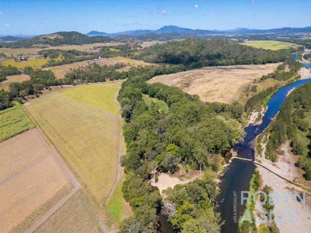 46 Websters Road, QLD 4741