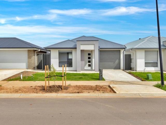 11 Desiree Street, SA 5115