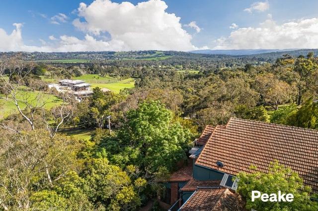 53 Mavis Avenue, VIC 3807