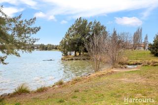 Gungahlin Pond