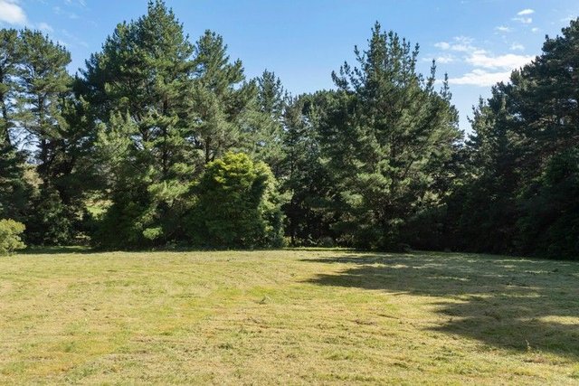 203 Bittern-Dromana Road, VIC 3926