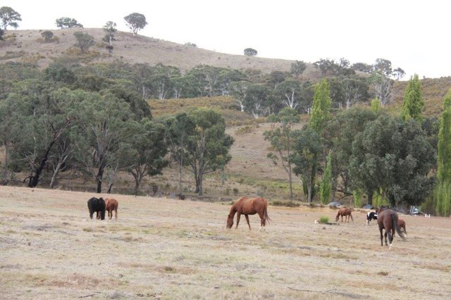 2137 Kiowarrah Road, NSW 2581