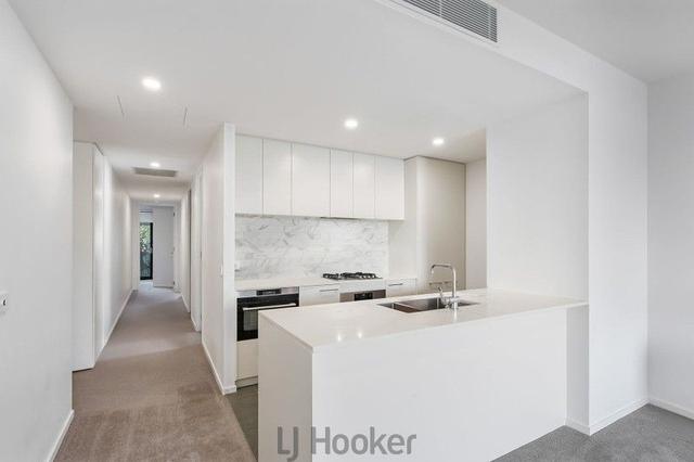 301/482 The Esplanade, NSW 2282