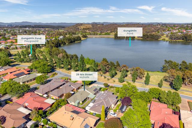29 Ibis Street, ACT 2913