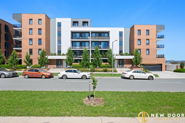 8/14 Hoolihan Street, ACT 2611