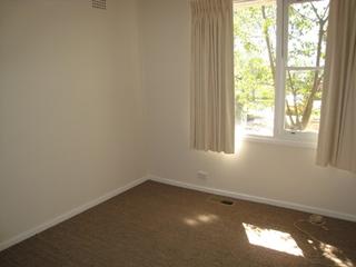 Main Photo (2011-10-12)