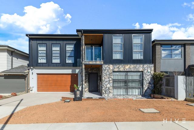20 Pademelon Street, ACT 2914