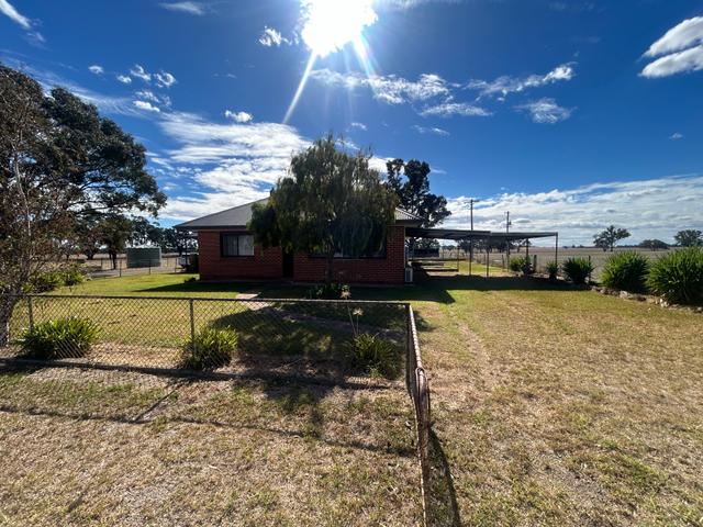 120 Benambra Road, NSW 2660
