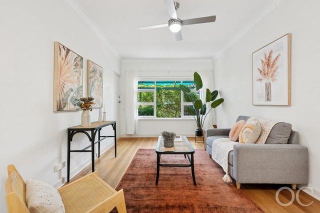 3/3 Alfred Street, SA 5067