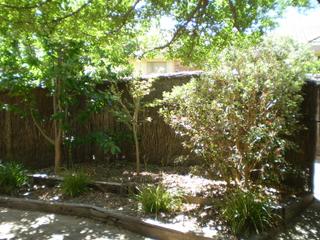 Garden (2016-03-05)