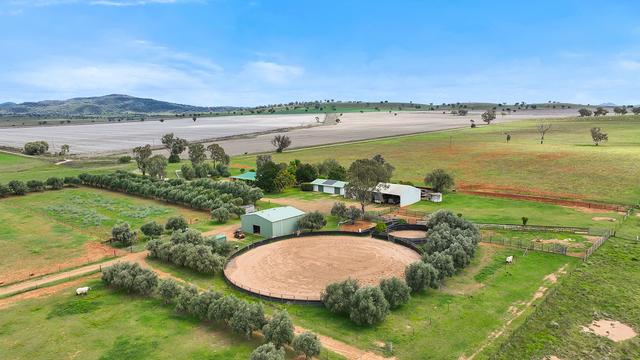 259 Racecourse Road, NSW 2340