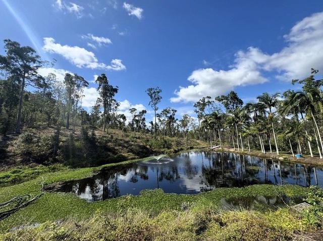 71 Kriedeman Road, QLD 4209