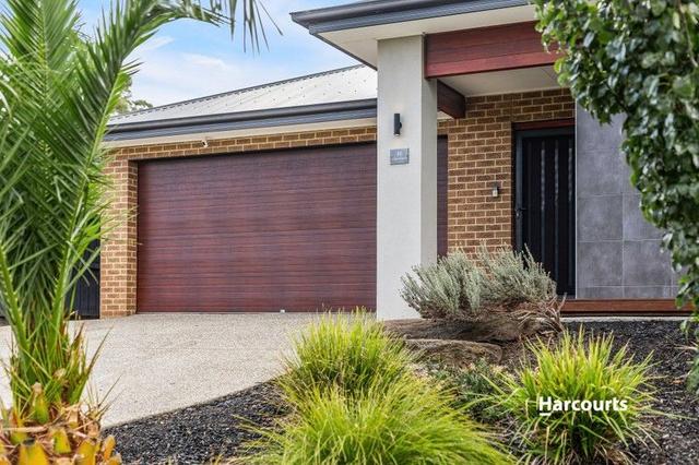 19 Bandicoot Drive, VIC 3814