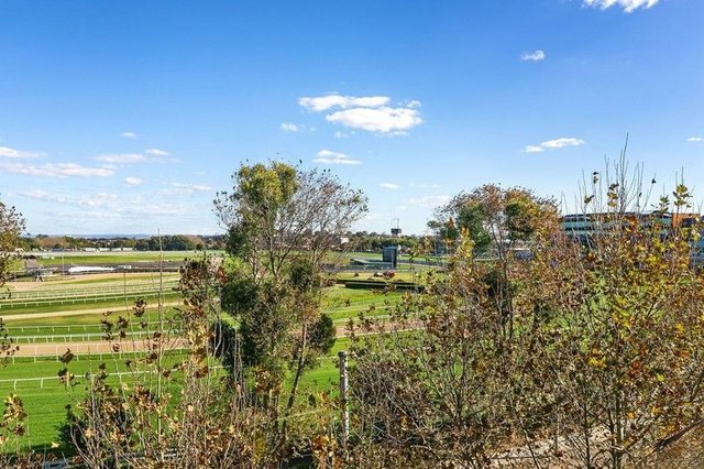 704/34-52 Alison Road, NSW 2031