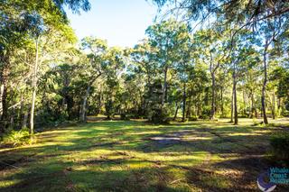 Cleared Land