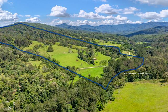 3545 Allyn River Road, NSW 2311