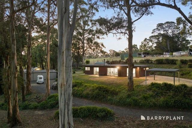 179 Matters Road, VIC 3781