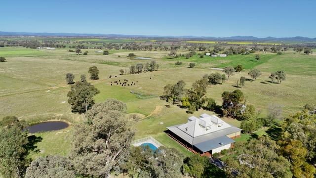 351 Jenners Lane, NSW 2340