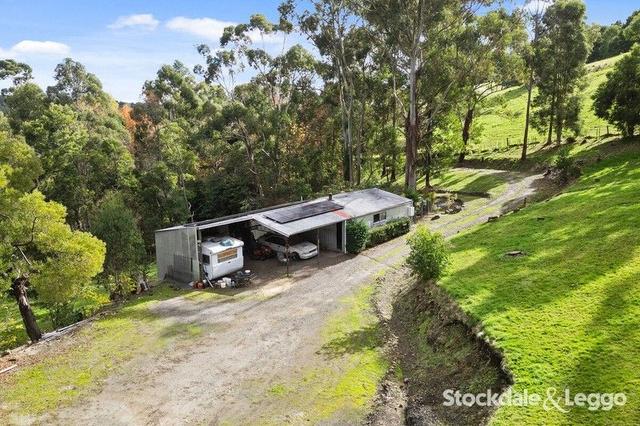 115 Braniffs Road, VIC 3840