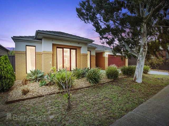 38 Juniper Avenue, VIC 3030