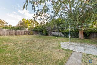Yard (2016-04-13)