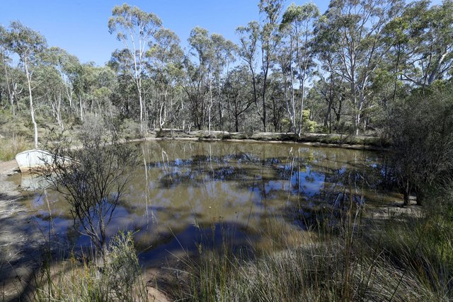 494 Jerralong Road, NSW 2622