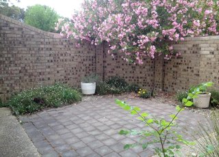 Front Courtyard