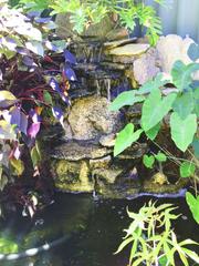 water feature in garden