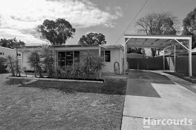 16 Nesbit Road, WA 6210