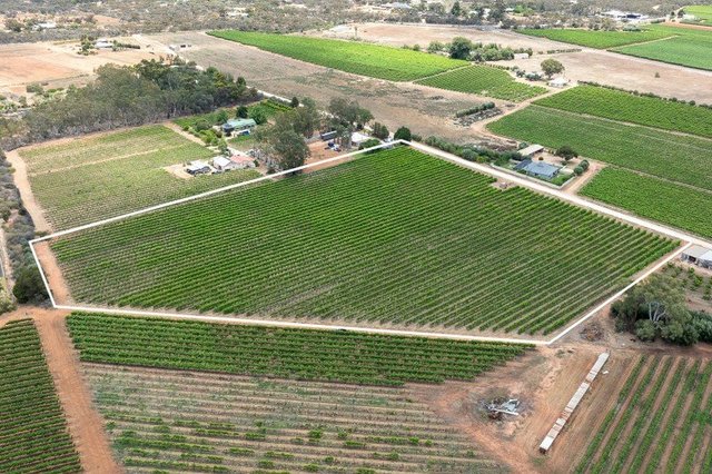 1248 Hodges  Road, SA 5343