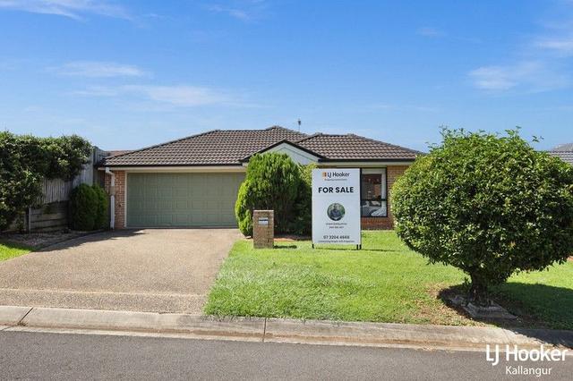 12 Northampton Court, QLD 4503