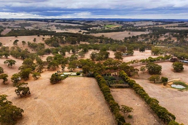 499 Mosquito Hill Road, SA 5214