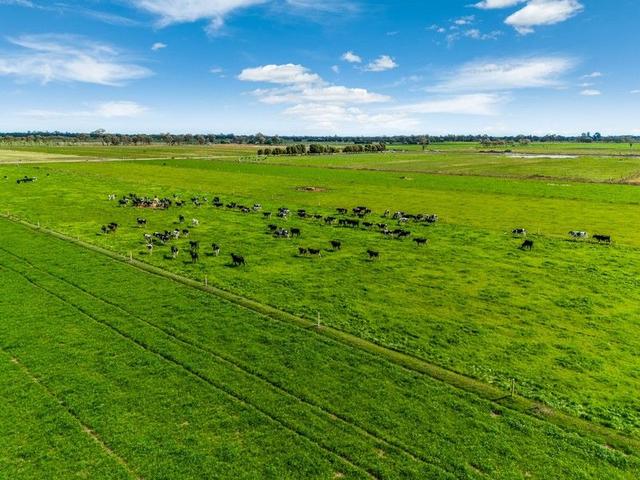 2217 Henderson  Road, VIC 3624