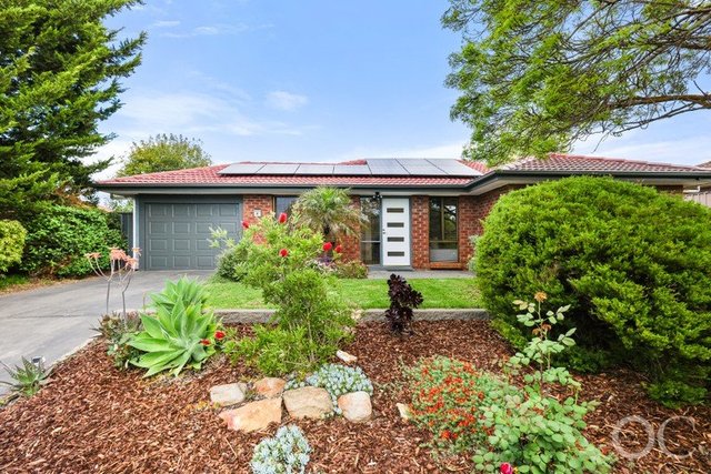 41 Doulton Drive, SA 5158