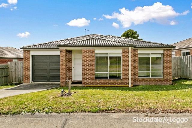 29 Glendonald Road, VIC 3842