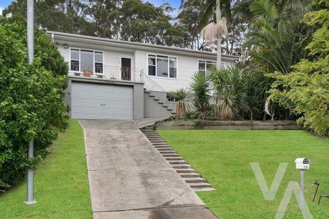 12 Lisa Avenue, NSW 2282
