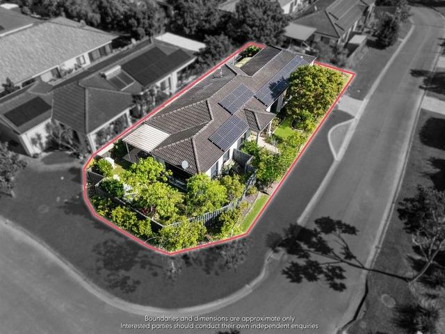 14 Blackwattle Circuit, QLD 4214