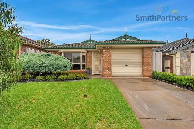 13 Hillcott Avenue, SA 5127