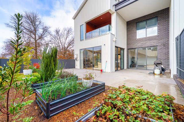 1/21 Lindsay Street, ACT 2604