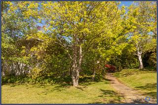 Path to front door