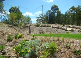 Garden (2008-03-25)