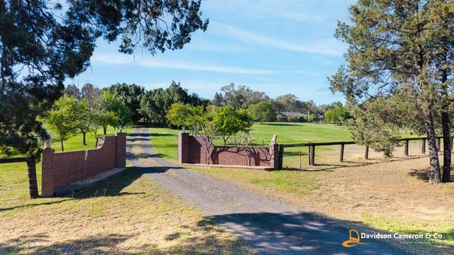 559 Kaputar Road, NSW 2390