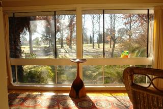 Front Window (2012-12-05)