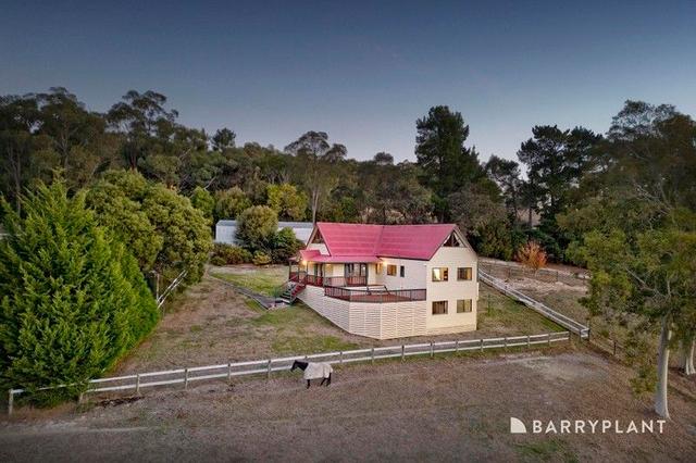 313 Evans Road, VIC 3781
