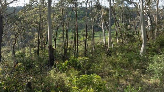 6 Alma Lane, NSW 2780