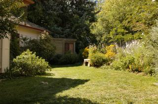 Backyard (2005-04-01)