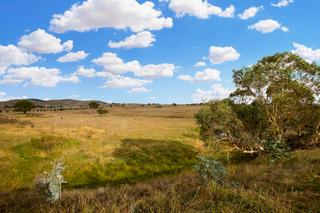 Waterhole