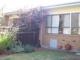 Rear garden (2005-05-18)