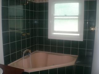 Bathroom (2011-03-22)